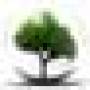 tree_firma_email.jpg